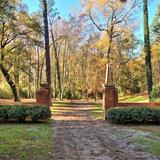 Hitchcock Woods