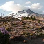 Mount Hood