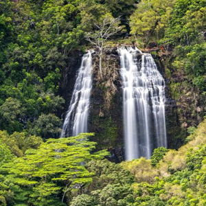 Waimea Canyon Tour- Kauai