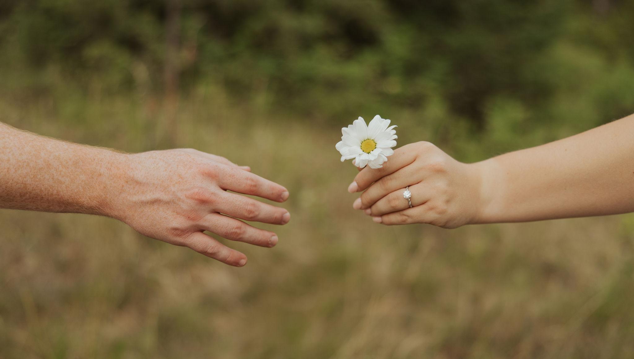 The Wedding Website of Samie Schaffer and Aidan Wilson