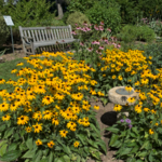 Bartlett Arboretum & Gardens