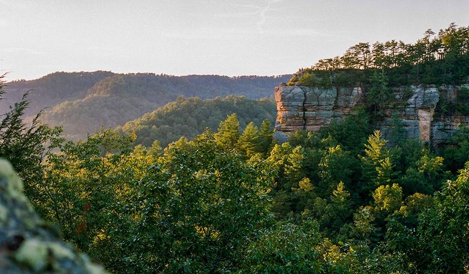 The Wedding Website of Claiborne Vonier and Allen Smith