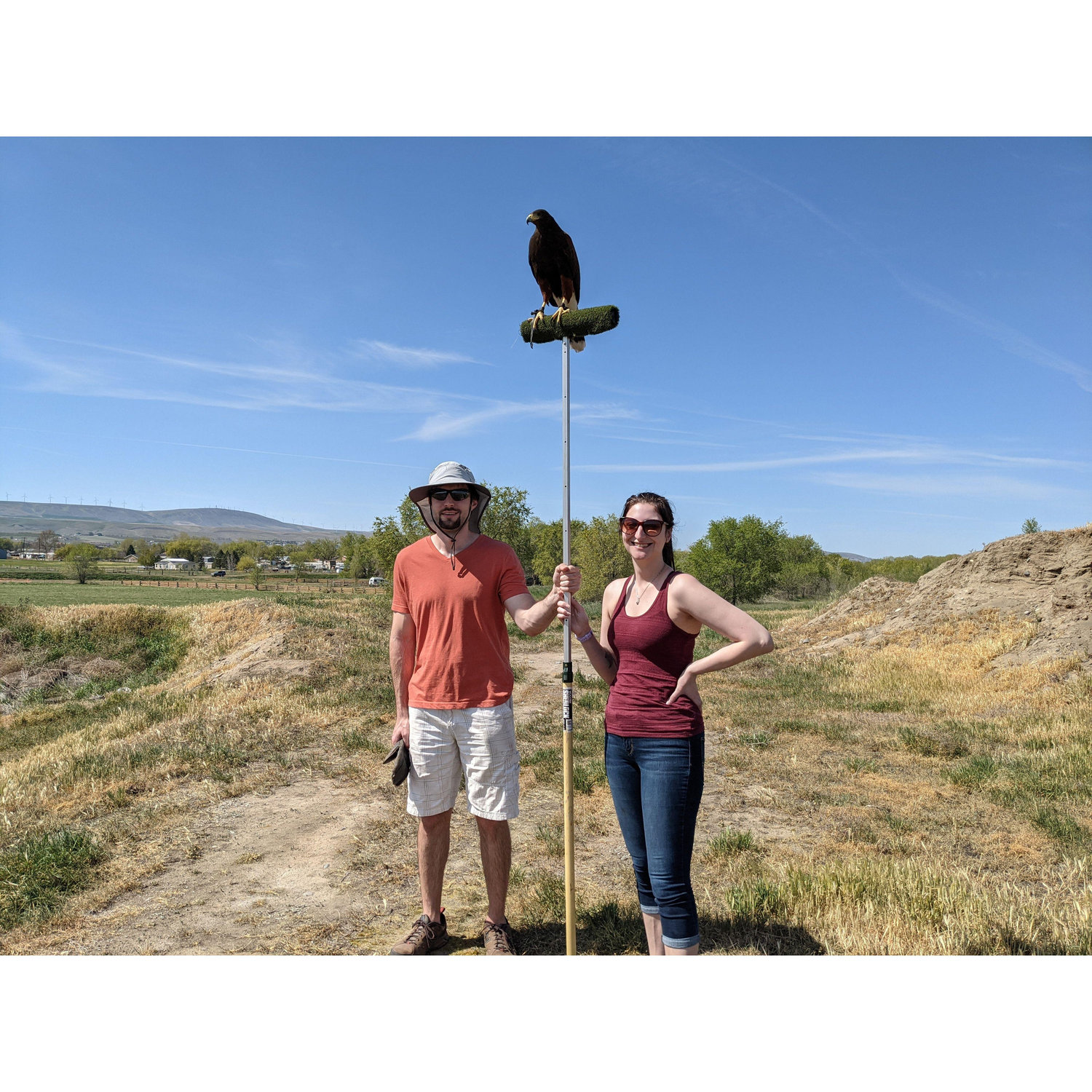 Falconing for Michael's birthday!