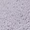 Lavender Grey
