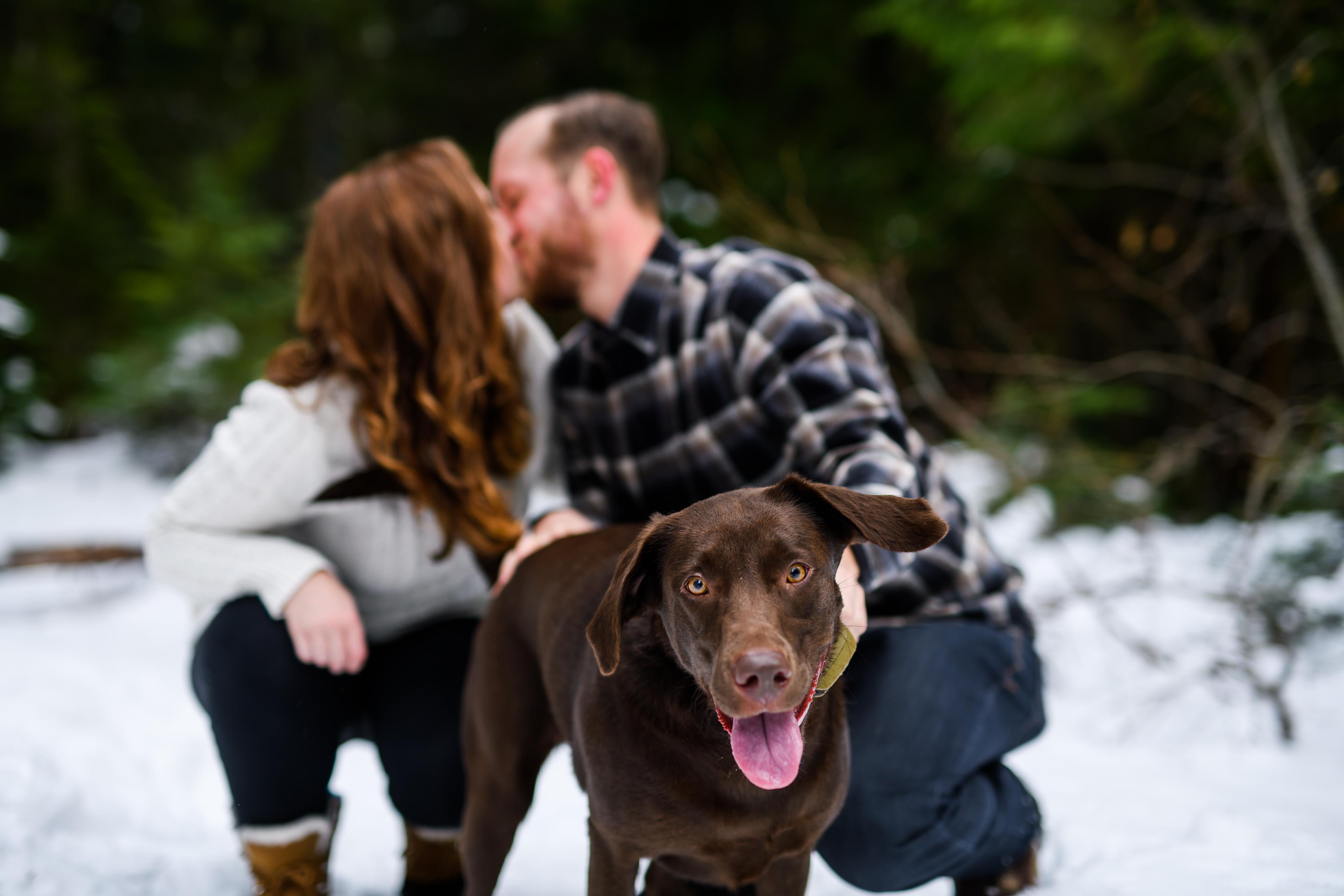 The Wedding Website of Lindsey Shultz and Grant Allen