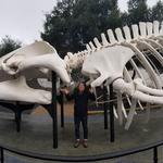 Santa Barbara Museum of Natural History