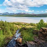 Hallormsstaður Forest