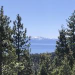 Tahoe Rim Trail to Twin Crags hike
