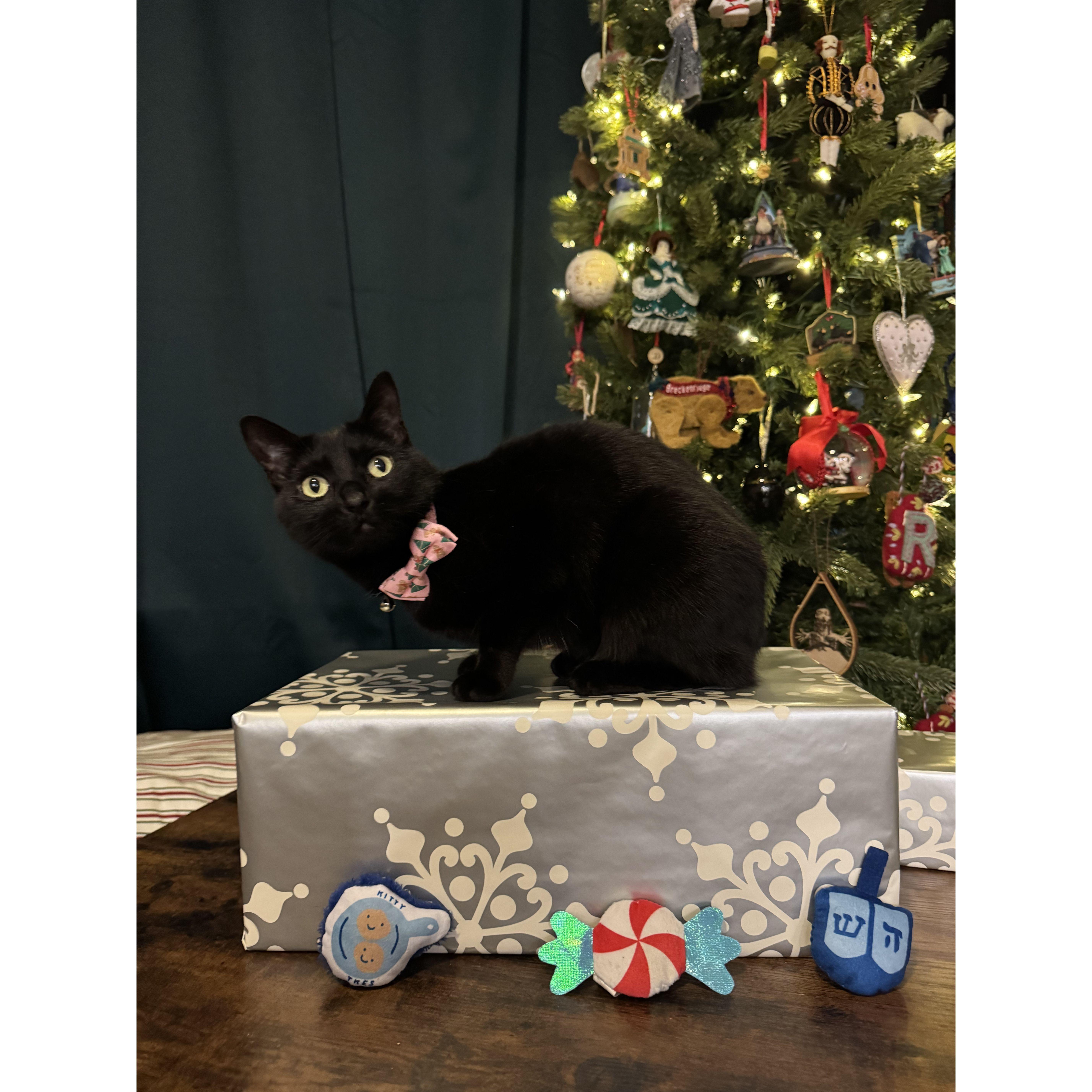 Happy Merry Chris-mukkah 2024