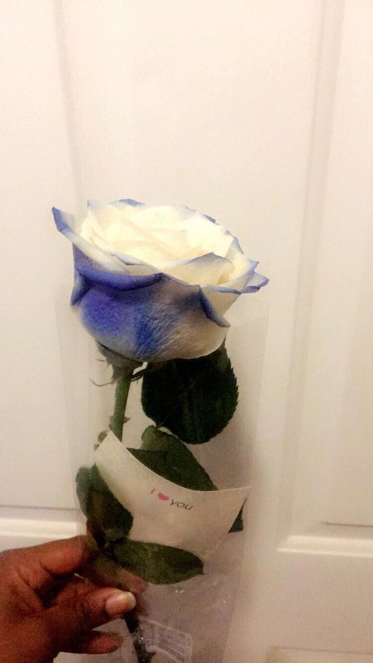 Always giving roses 💕