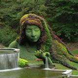 Atlanta Botanical Garden