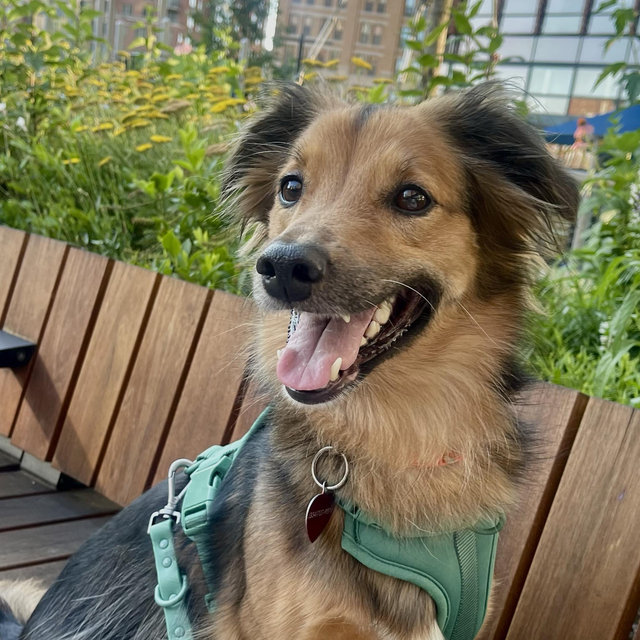 Zara’s Backyard Fund