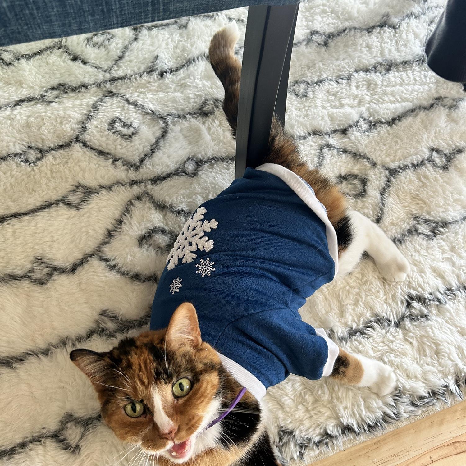 Sushi aka Soosh MaGoosh aka Soosh aka Baby Girl