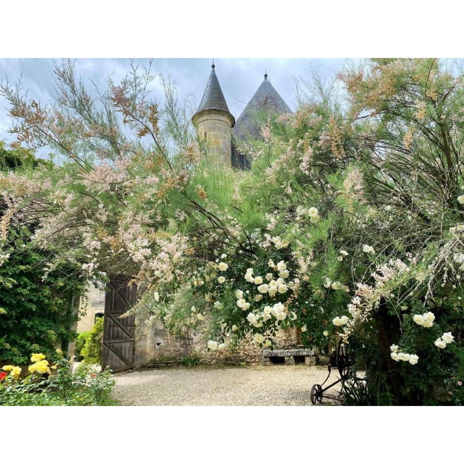 Chateau Sentout in Tabanac, France