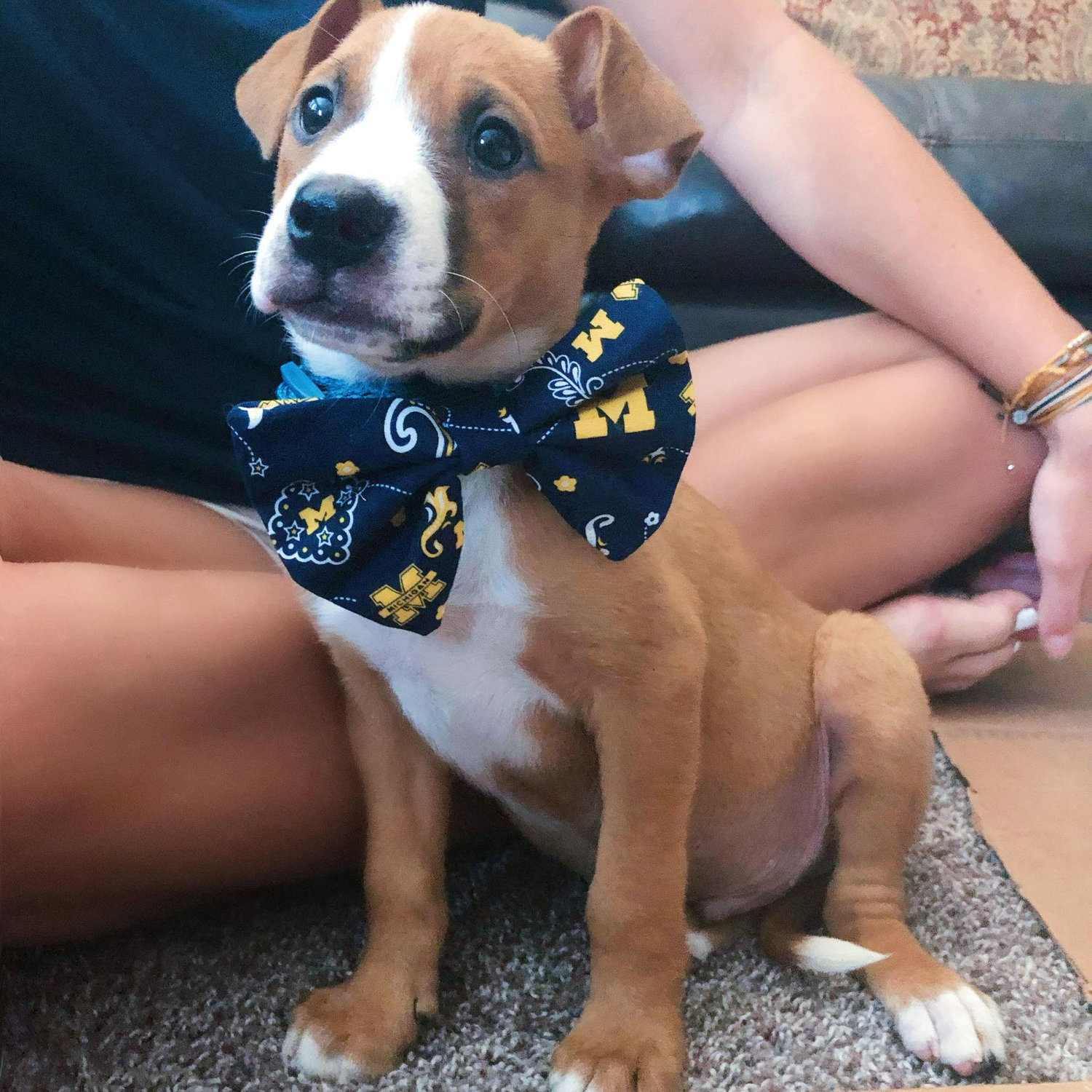 Our first born child, Ollie