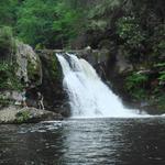 Abrams Falls Trail