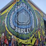 Gnarly Barley Brewing