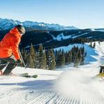 Skiing and Snowboarding