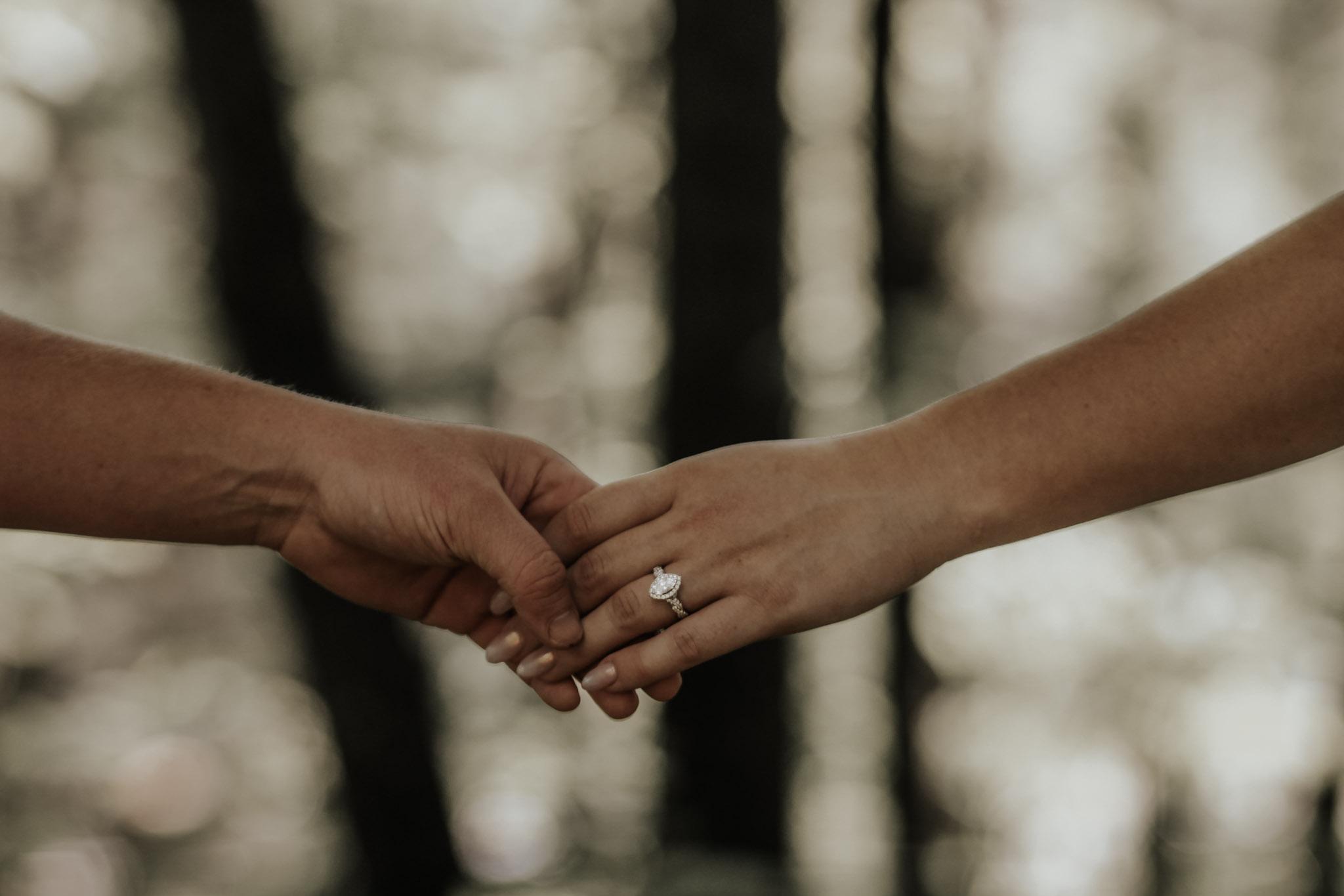 The Wedding Website of Sarah Holappa and Austin Backstrom