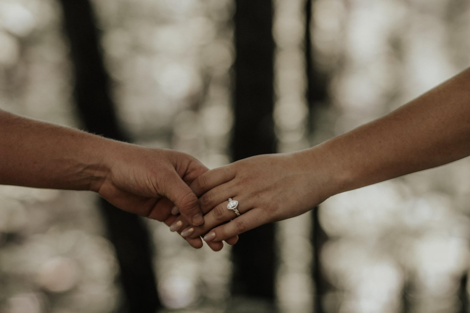 The Wedding Website of Sarah Holappa and Austin Backstrom