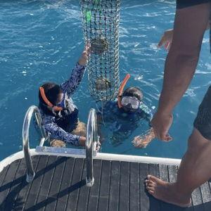 Honeymoon Pearl Diving