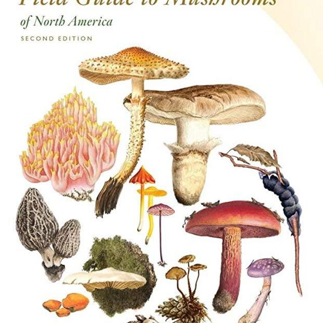 Peterson Field Guide to Mushrooms of North America, Second Edition (Peterson Field Guides)
