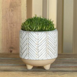 Ramos Chevron Cachepot, Set of 4