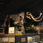 Rochester Museum & Science Center
