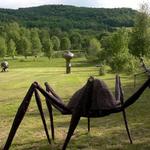 Griffis Sculpture Park