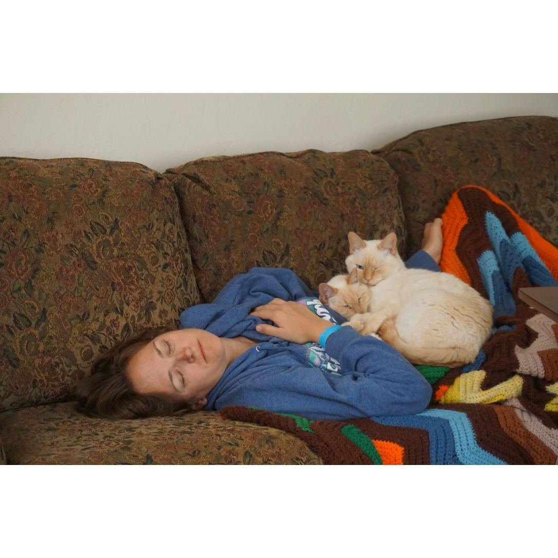 Cat nap
