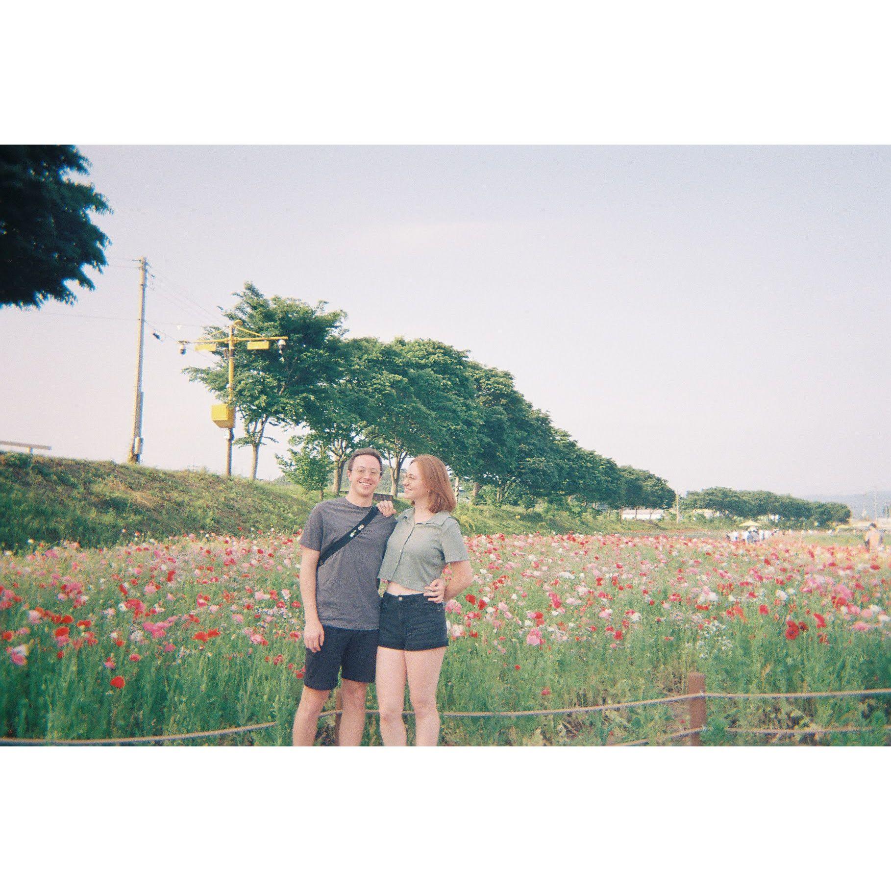 Jangseong Flower Festival in Korea, 2023