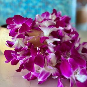 Fresh Lei Greeting at Sheraton