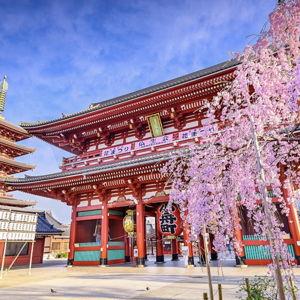 Japan Honeymoon Tours & Sightseeing