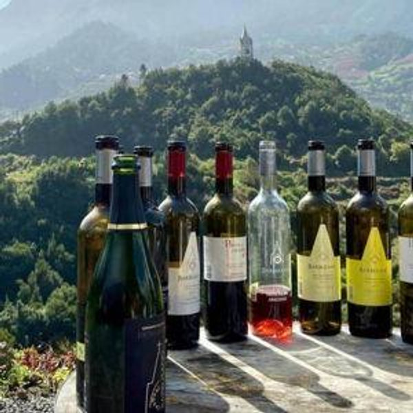 Wine Tasting