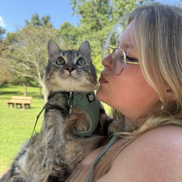 Our older but still baby cat, Indie Ivy