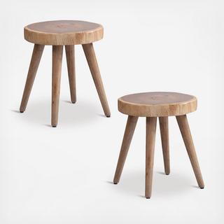 Arcadia Dining Stool, Set of 2