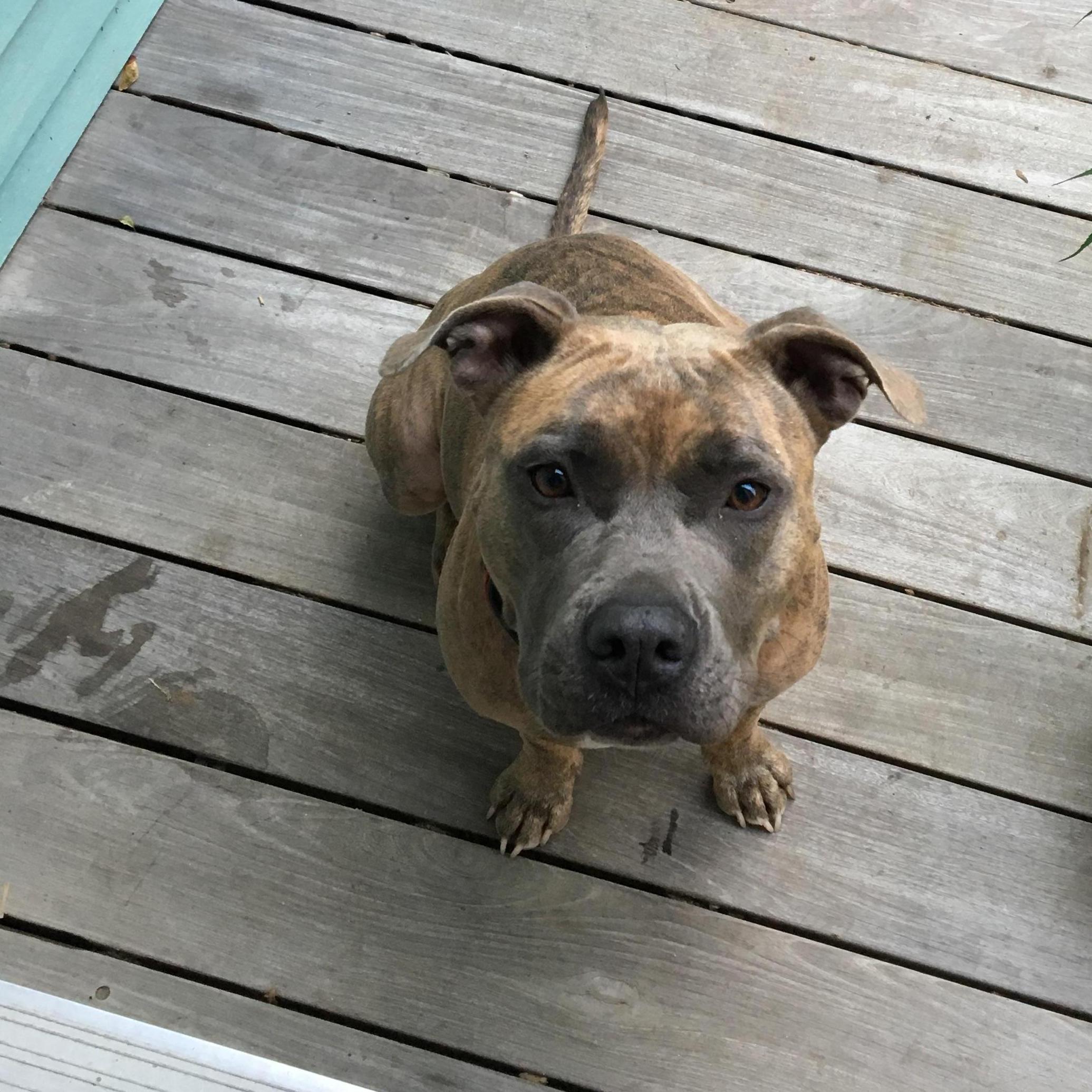 Our lovable "Miss Addie" !!