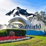 SeaWorld Orlando
