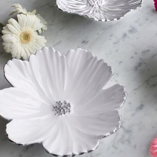 Cosmos White Sauce Dish