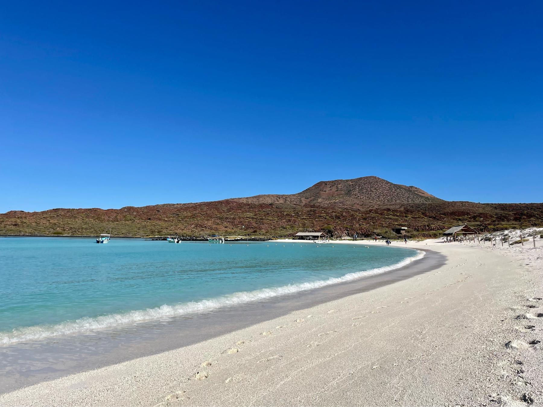 The Wedding Website of Jessie Rose Devries and Anthony Eckert