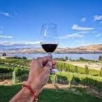 Wine Tasting