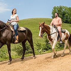 Horseback Riding On Our Honeymoon