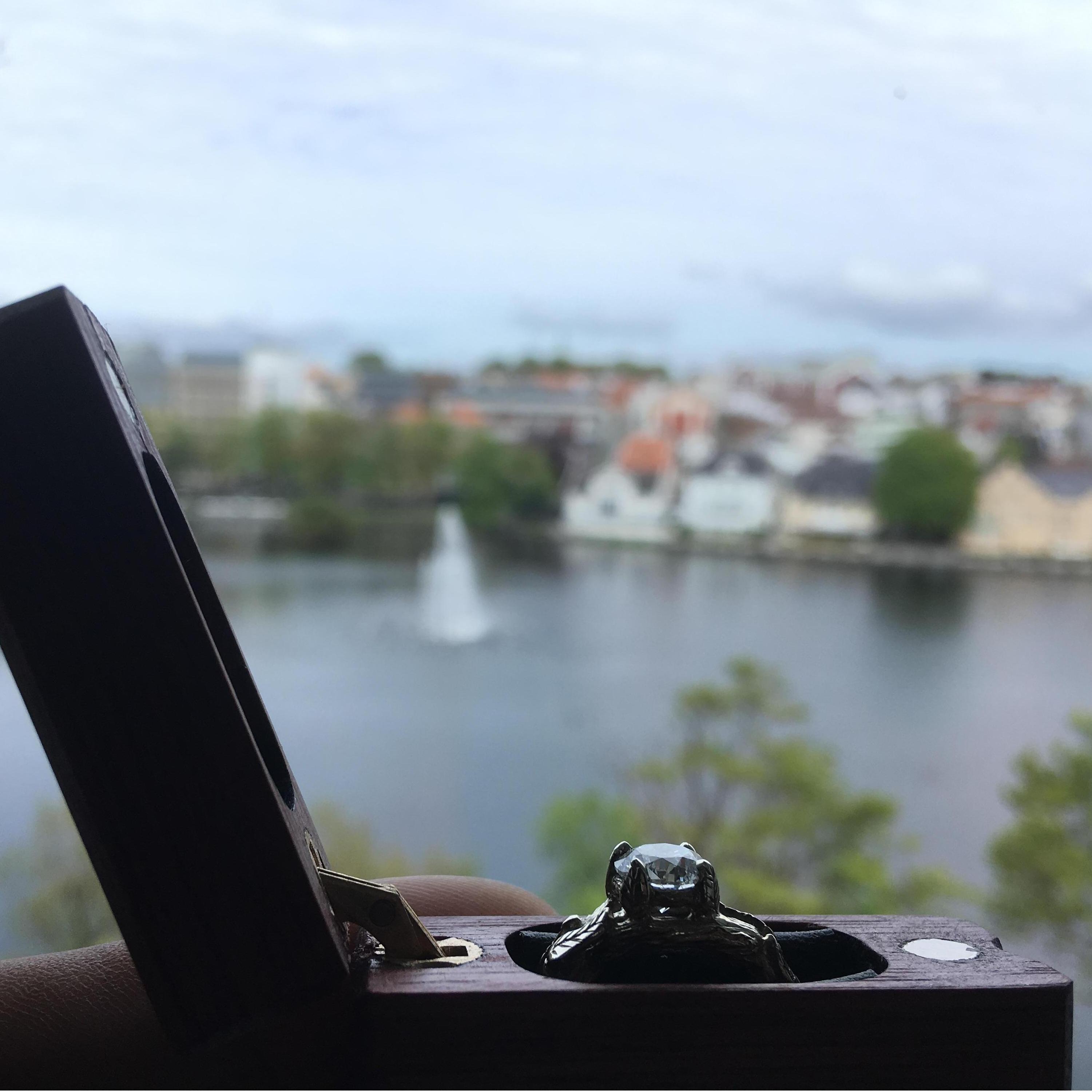 Oh the places this ring will go! (Breiavatnet, Stavanger, Norway)