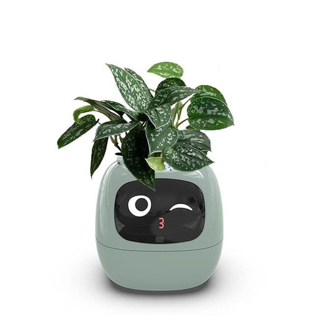 Itigoitie Smart Flowerpots,Smart Pet Planter,Ai Planter,Intelligent Flowerpots,Multiple Expressions,7 Smart Sensors, and Ai Chips Make Raising Plants Easy and Fun for Living Room,Plant-Free(Green)