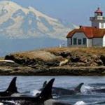 SAN JUAN ISLANDS