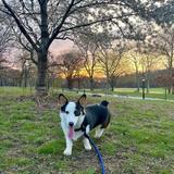 Prospect Park