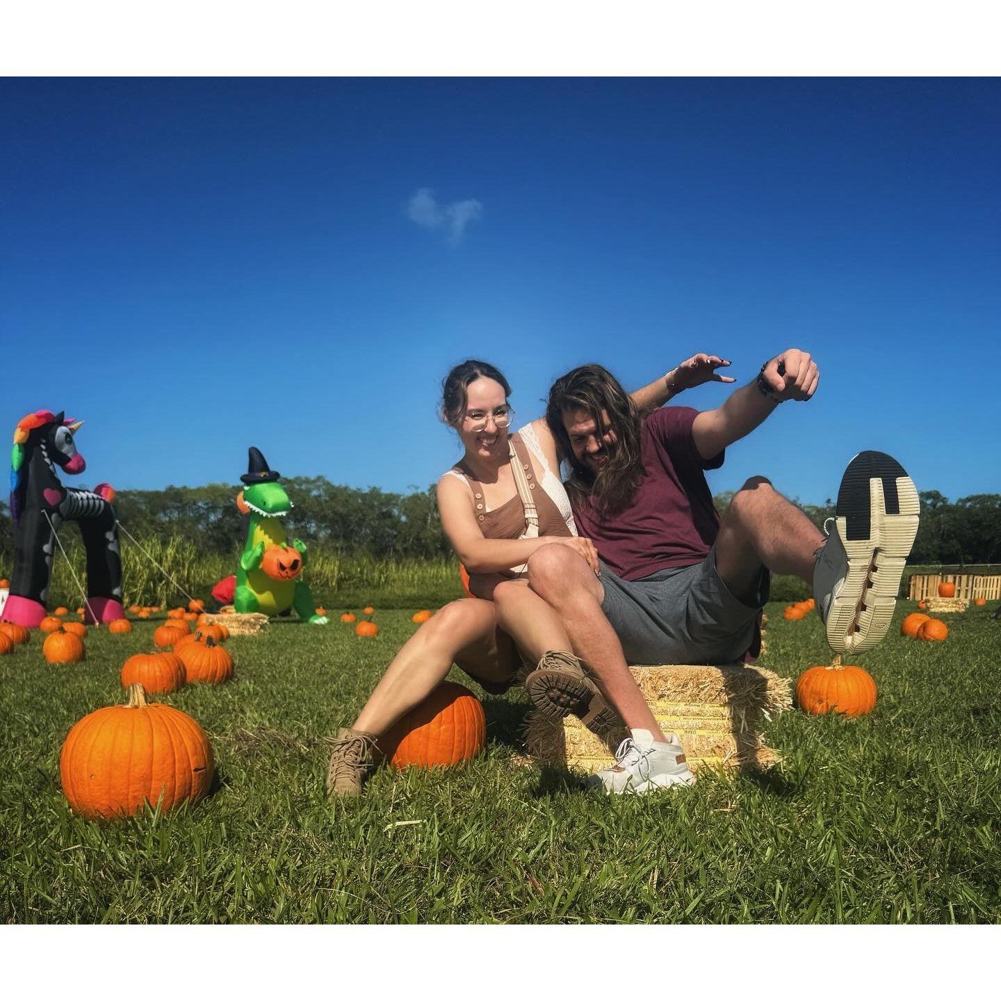 October 2024, Holoholoween