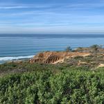 Torrey Pines State Reserve