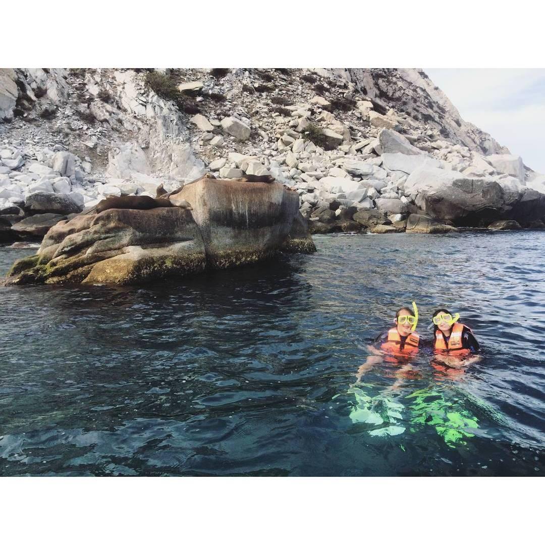 Casey, who always tries to communicate with animals, was ecstatic about meeting these ocean puppies.