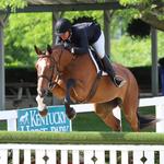 Kentucky Horse Park